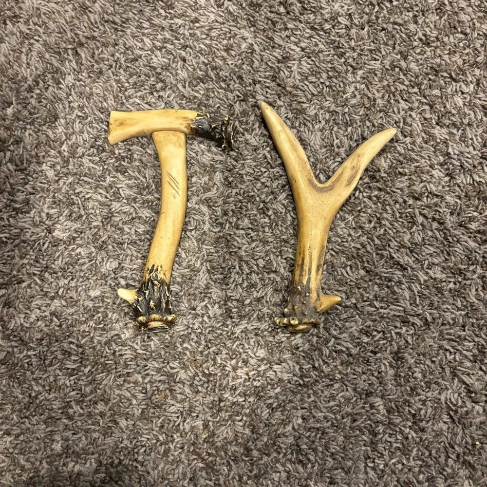 Decorative Antler Shaped Letters